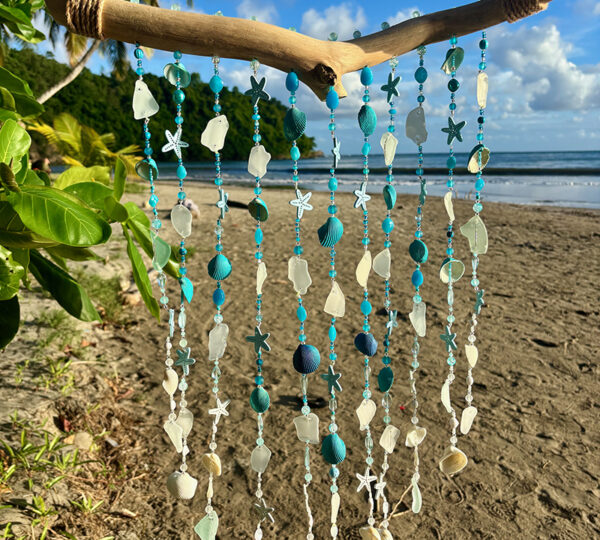 Sea Treasures Collections