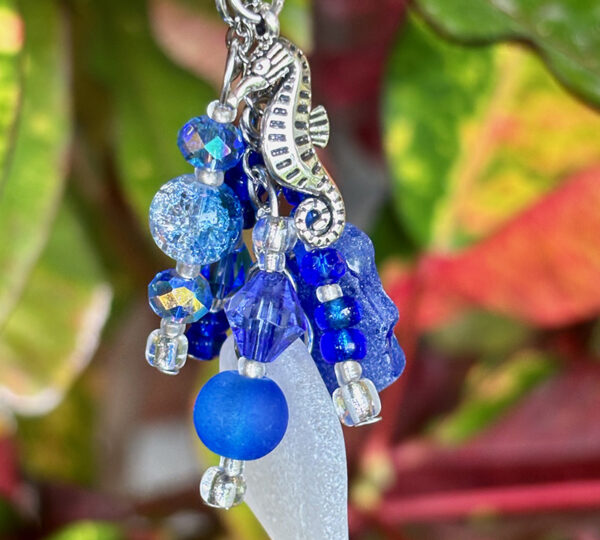 Sea Treasures Collections