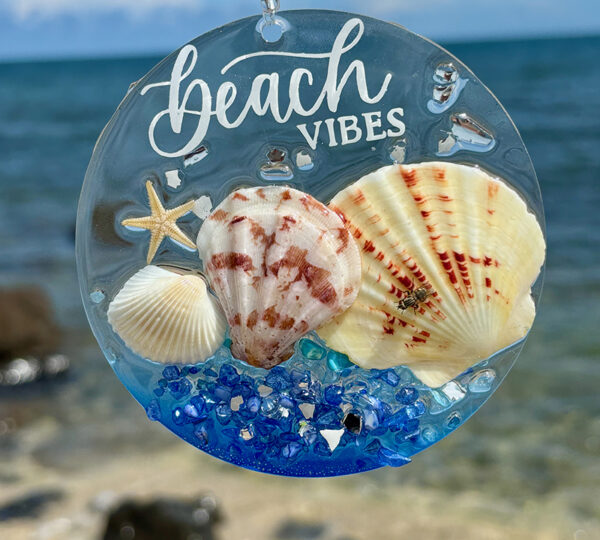 Sea Treasures Collections