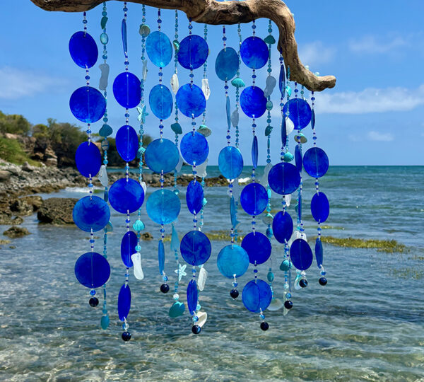 Capiz Shell & Seaglass