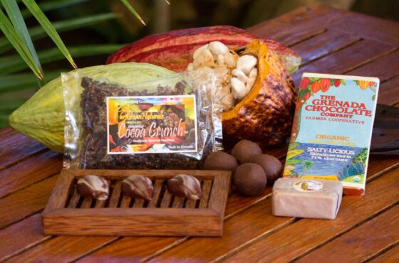 The Grenada Chocolate Company