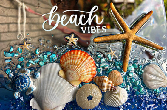 Sea Treasures Collections