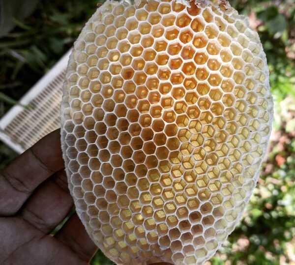 Grace's Honey & Meadery Ltd