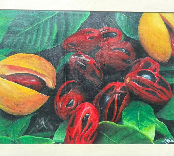 Atyiah Chetram - Grenadian Artist